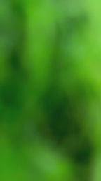 Love Never Fails Socks