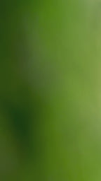 Choose To Be Kind Socks