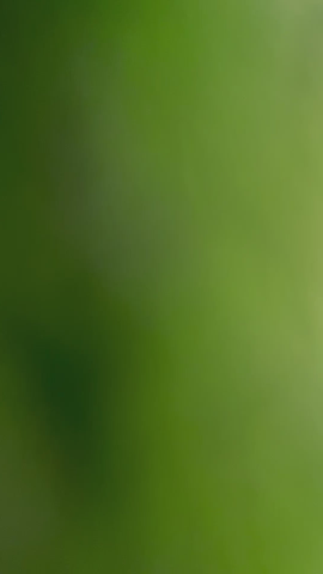 Choose To Be Kind Socks